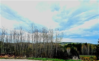 Terrain vacant à vendre, Lac-Bouchette